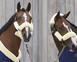 Kentucky Sheepskin Halter Set