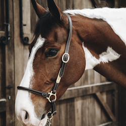 Kentucky Leather Grooming Halter