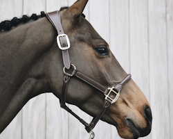 Kentucky Anatomic Leather Halter