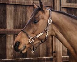 Kentucky Leather Rope Halter