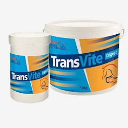 Equine  Transvite Digest 1KG