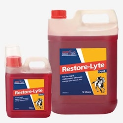 Equine Restore-Lyte Liquid