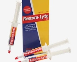 Equine Restore-Lyte Gel