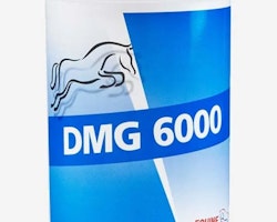 Equine DMG 6000