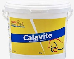 Equine Calavite