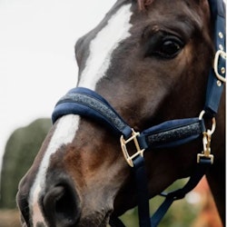 Kentucky Glitter Stone halter