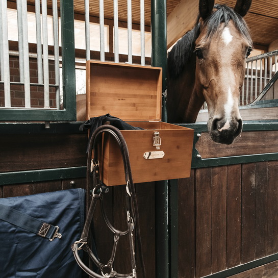 Grooming Delux  Stable Tack Box