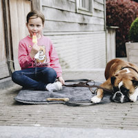 Kentucky Dog Bed Travel