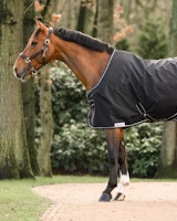 Dominick Stalltäcke 350g