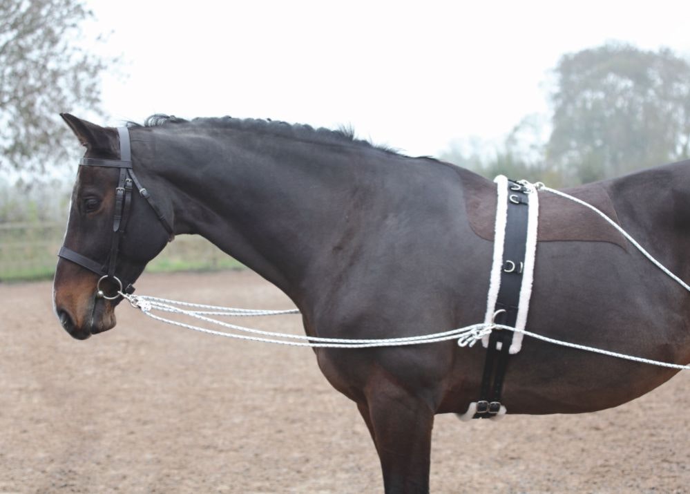 SHIRES LONGERINGSSYSTEM BLACK ONE SIZE