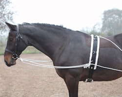 SHIRES LONGERINGSSYSTEM BLACK ONE SIZE