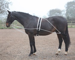 SHIRES LONGERINGSSYSTEM BLACK ONE SIZE