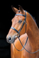 SHIRES SALISBURY BERRINGTON TRÄNS