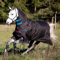 SHIRES HIGHLANDER 300G SET TÄCKE + HALS