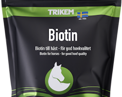 Trikem Biotin 1000 g