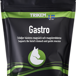 Trikem Gastro 1000 g