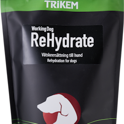 WorkingDog ReHydrate 400 g