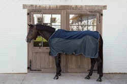 Kentucky Fleece Mesh cooler combo