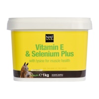 Vitamin E, Selen & Lysin, Pulver