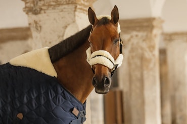 Kentucky Horsewear Stable Rug Comfort 100-300g