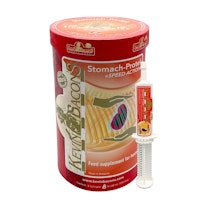Kevin Bacon´s Stomach-Protek speed action 6pack