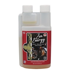 Kevin Bacon,s Zen Energy 400ml