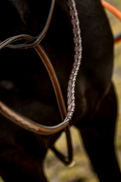 TRUST Hunter stand Martingal