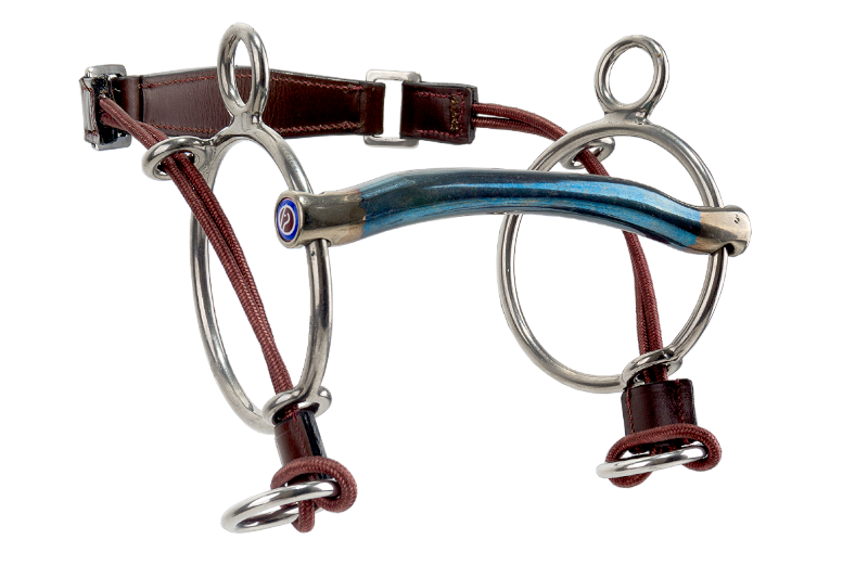 Trust Sweet Iron curbgag arched