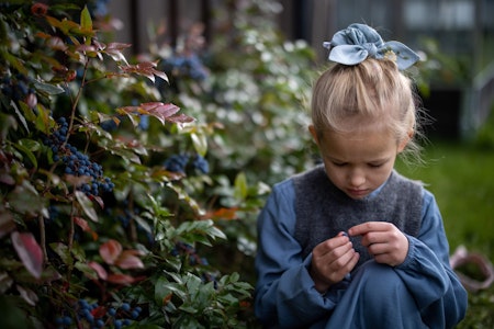 Broderte hårpynt