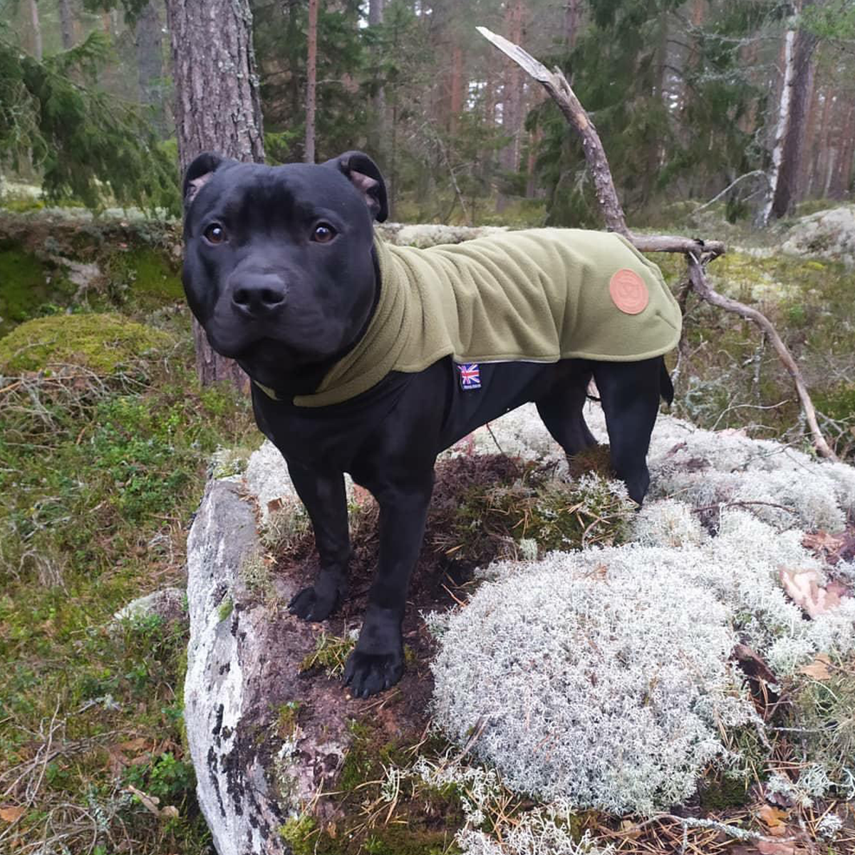 Fleece Coat - Green - Staffordshire Bull Terrier 1935