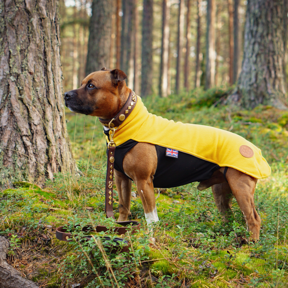 Staffordshire Bull Terrier Fleece Coat