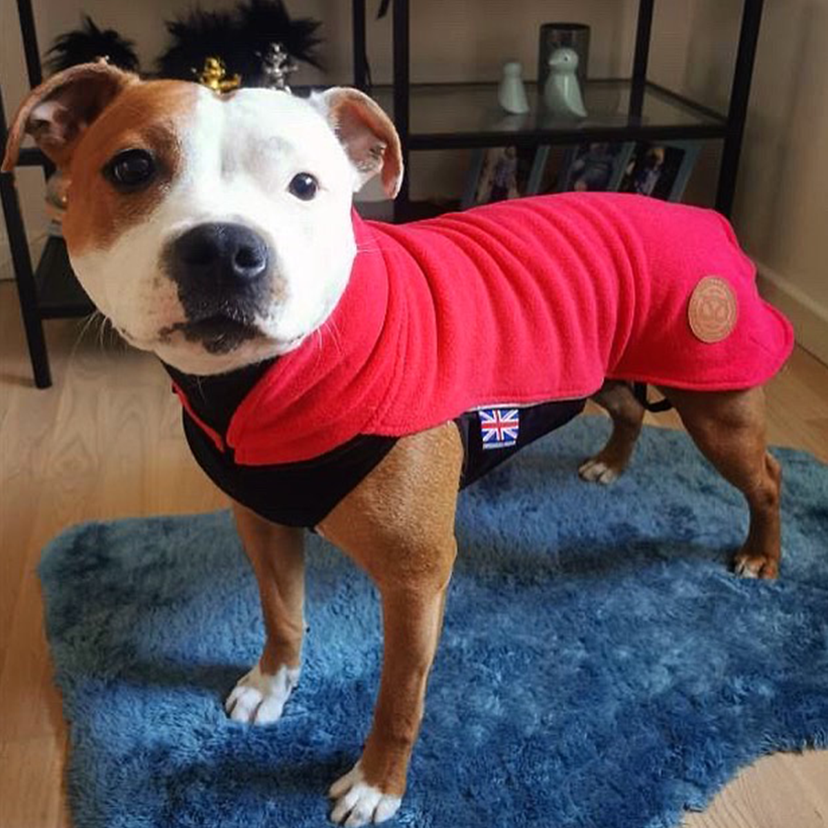 Fleece Coat - Red - Staffordshire Bull Terrier 1935