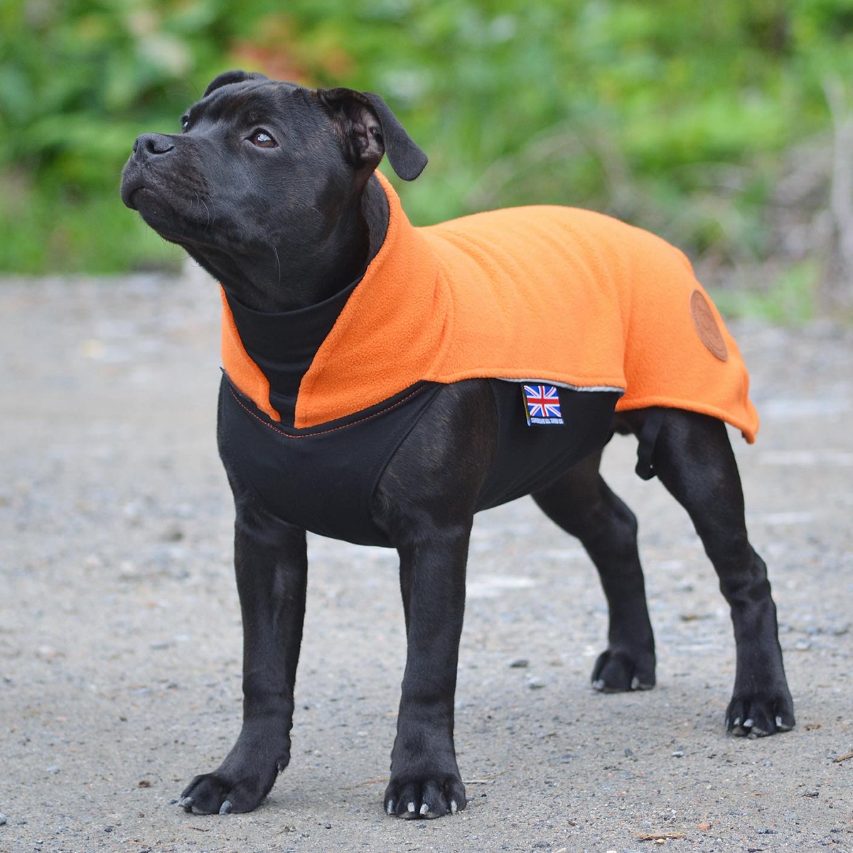 Fleece Coat - Orange - Staffordshire Bull Terrier 1935