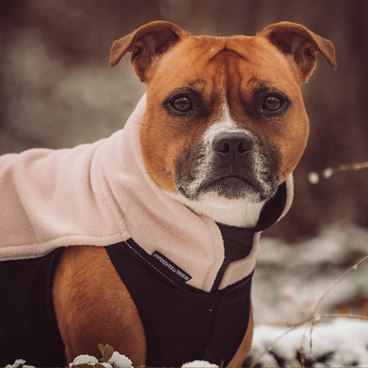 Fleece Coat - Baby Pink - Staffordshire Bull Terrier 1935