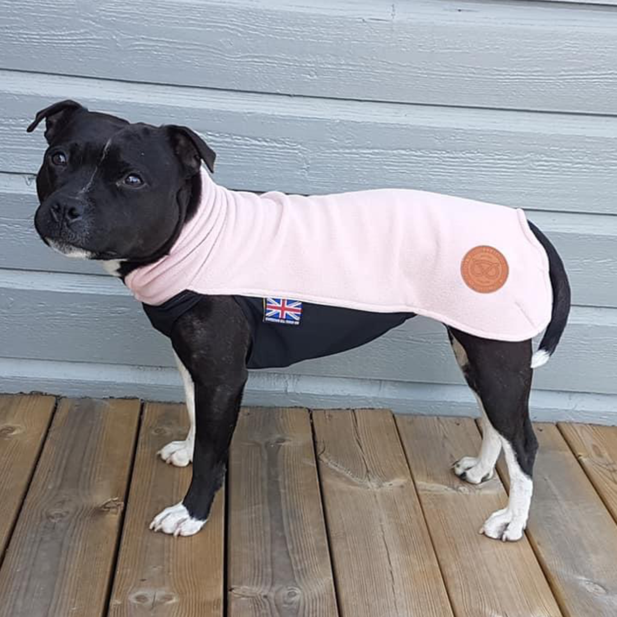 Fleece Coat - Baby Pink - Staffordshire Bull Terrier 1935