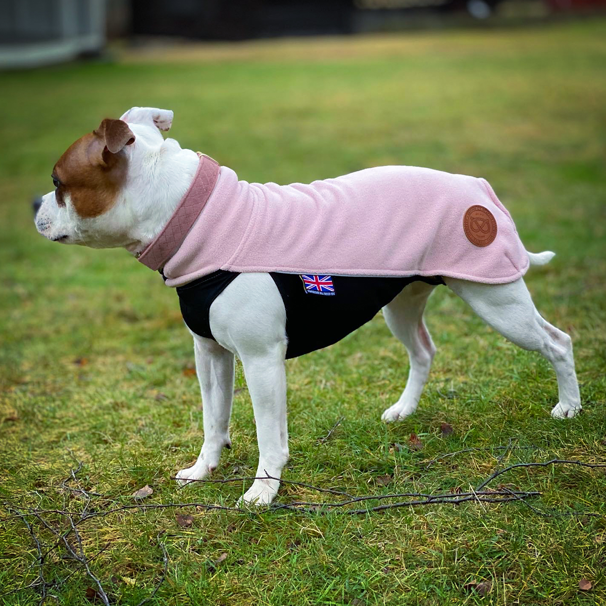 Fleece Coat - Baby Pink - Staffordshire Bull Terrier 1935