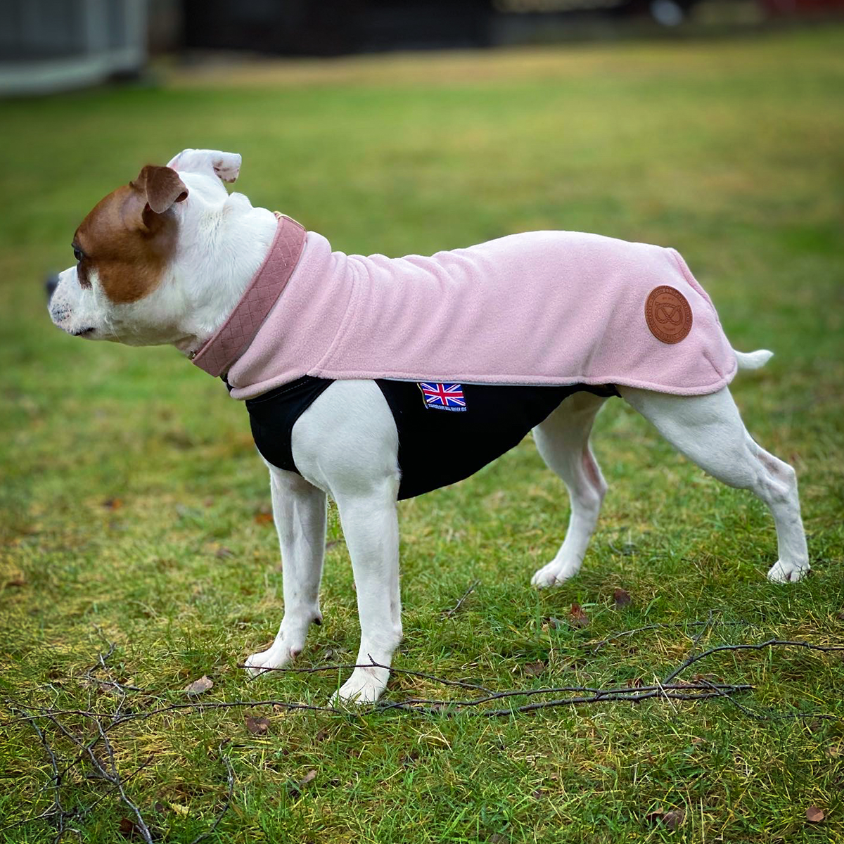 Fleecetäcke - Babyrosa - Staffordshire Bull Terrier 1935