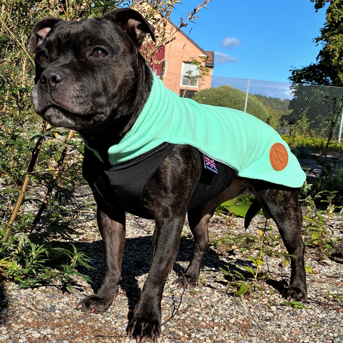 Fleece Coat - Mint - Staffordshire Bull Terrier 1935