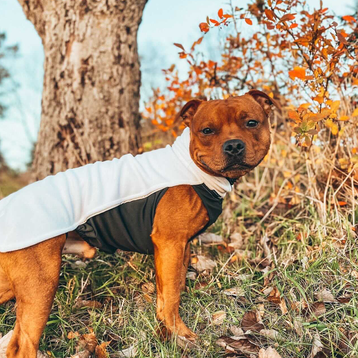 Staffordshire Bull Terrier Fleece Coat