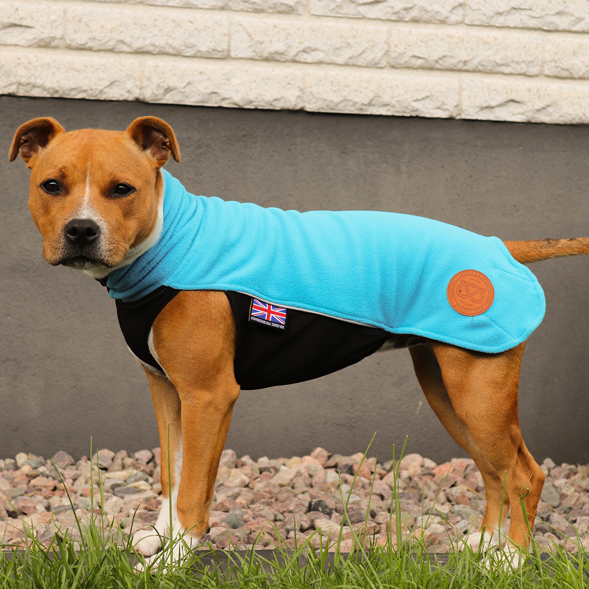 Fleece Coat - Coral Blue - Staffordshire Bull Terrier 1935