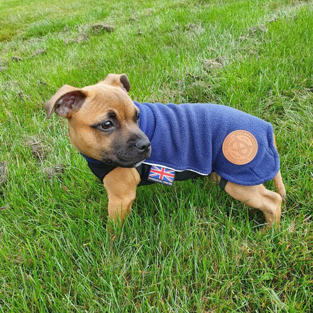 Fleece Coat - Puppy Size - Staffordshire Bull Terrier 1935