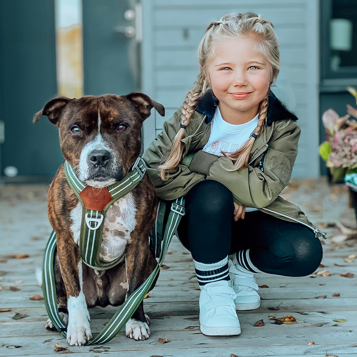 Nylon Harness & Leash Set v2.0 - Green - Staffordshire Bull Terrier 1935