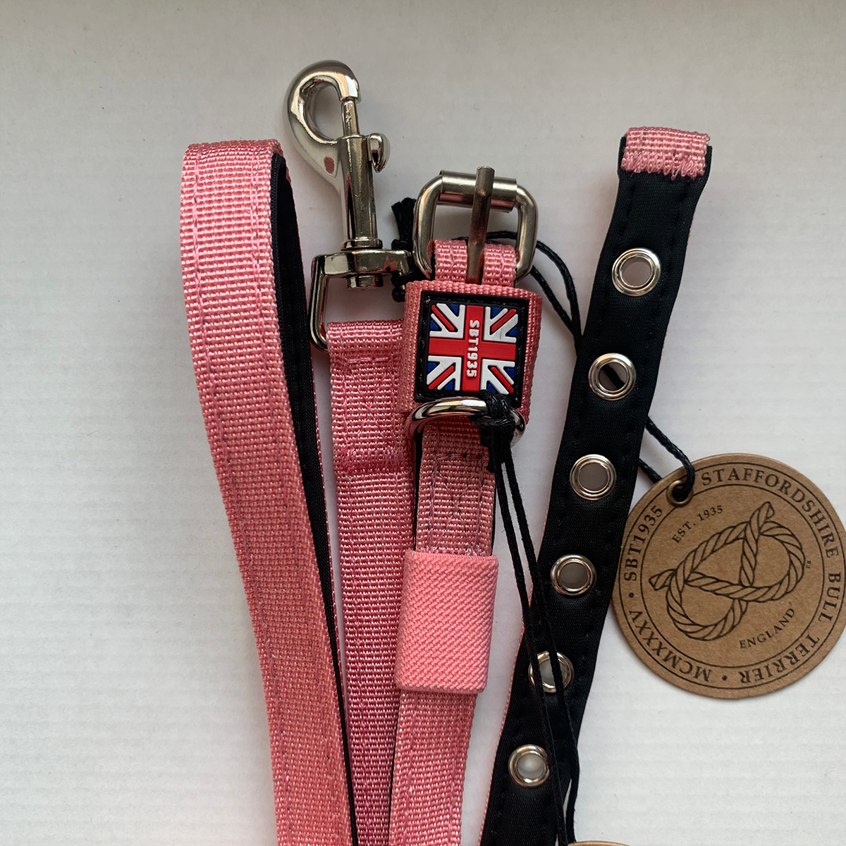 Puppy Nylon Collar & Leash Set - Baby Pink - Staffordshire Bull Terrier 1935