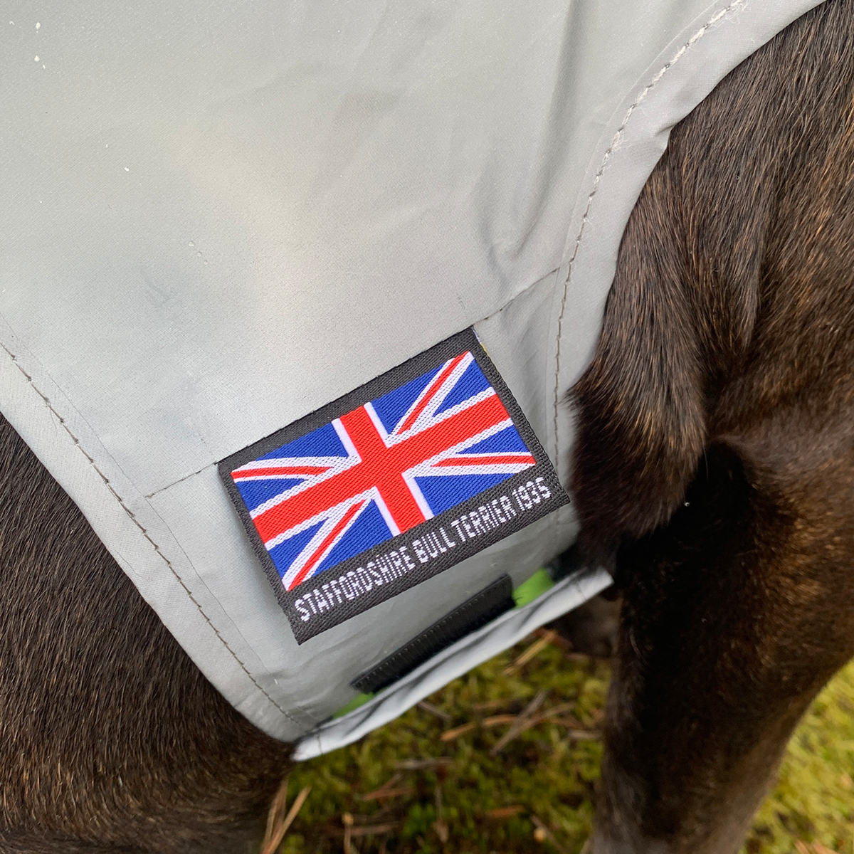 Staffordshire Bull Terrier Reflective Vest