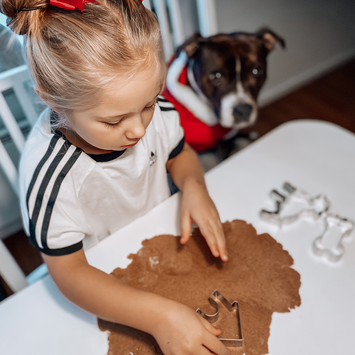 Staffordshire Bull Terrier Cookie Cutter Set