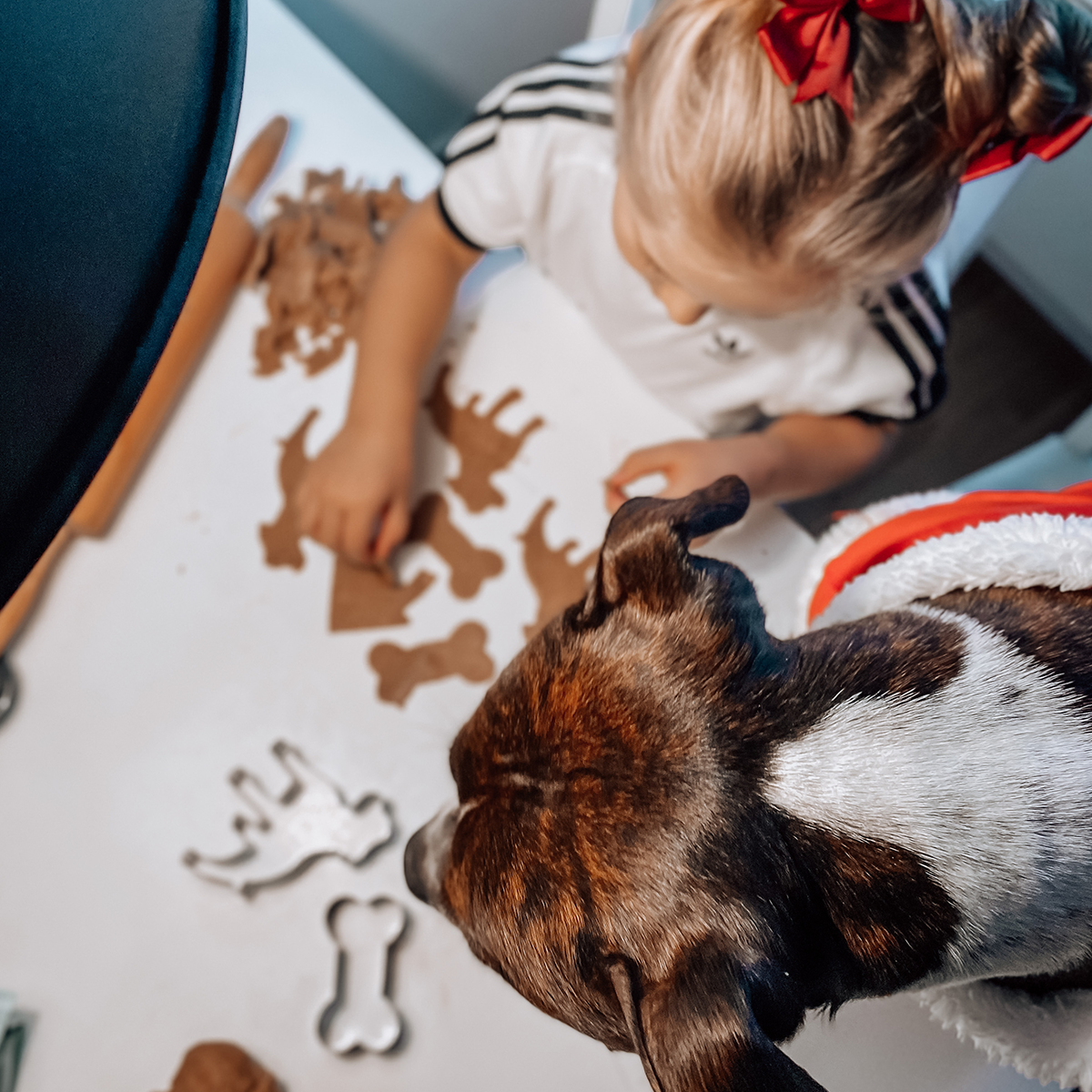 Pepparkaksformar - Staffordshire Bull Terrier 1935