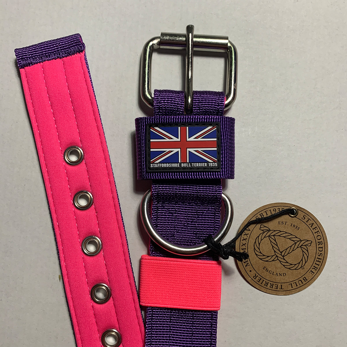 Nylon Collar - Purple & Neon Pink - Staffordshire Bull Terrier 1935