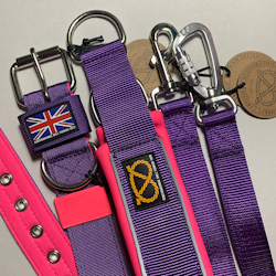 Nylon Leash - Purple & Neon Pink - Carabiner - Staffordshire Bull Terrier 1935
