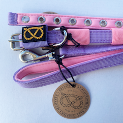 Puppy Nylon Collar & Leash Set - Lilac & Baby Pink - Little Blue Edition - Staffordshire Bull Terrier 1935