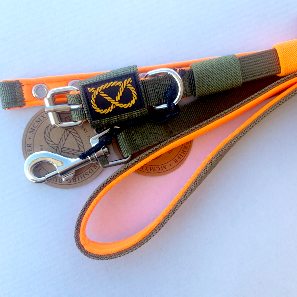 Puppy Nylon Collar & Leash Set - Green & Neon Orange - Stitch Edition - Staffordshire Bull Terrier 1935